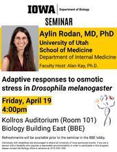 Biology Seminar: &quot;Adaptive responses to osmotic stress in Drosophila melanogaster&quot; promotional image