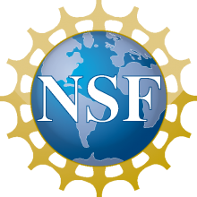 CAREER Unlocked: Insights from NSF CAREER Awardees