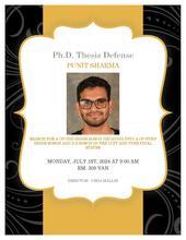 Physics & Astronomy Thesis Defense Seminar: Punit Sharma