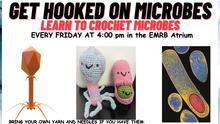 Learn to Crochet Microbes