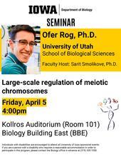Biology Seminar: "Large-scale regulation of meiotic chromosomes"