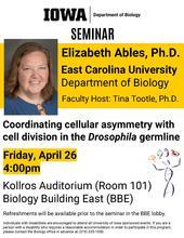 Biology Seminar: "Coordinating cellular asymmetry with cell division in the Drosophila germline"